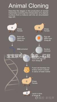寶寶尿布疹、濕疹、紅屁股傻傻分不清？4點區(qū)別輕松診斷