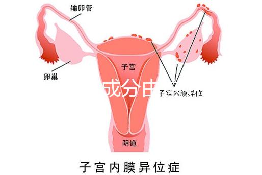 寶寶金水成分由這4種中藥材構(gòu)成,對(duì)寶寶有益無(wú)害