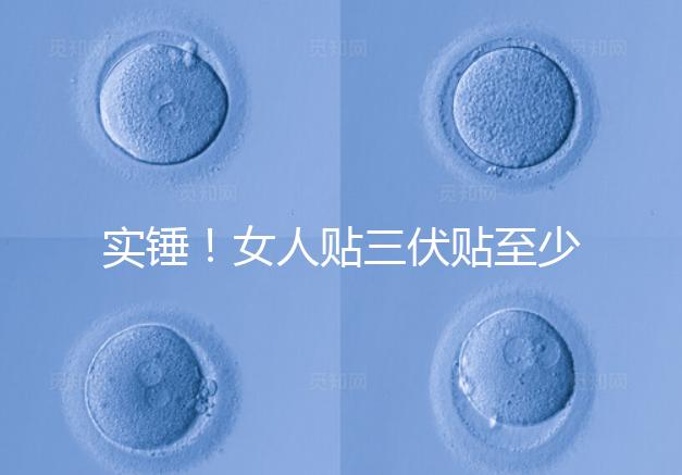 實(shí)錘！女人貼三伏貼至少有這6點(diǎn)好處，提高免疫力是其一