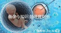 備孕小知識(shí):胎停育別傷心,一個(gè)事實(shí)告訴你這是好事