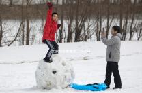 大家都來看看第二次促排卵懷孕的幾率，成功率高不高都總結了一下