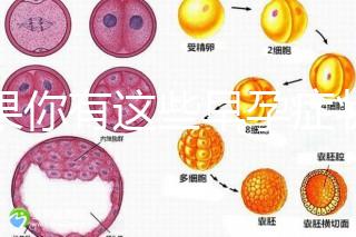 如果你有這些早孕癥狀，那恭喜試管嬰兒成功懷上啦