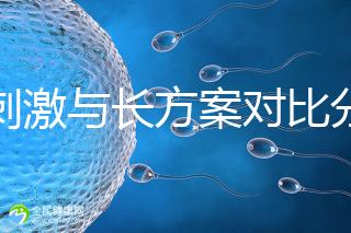 微刺激與長方案對比分析,5大區別告訴你選哪個好