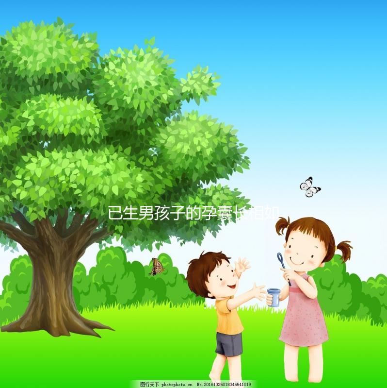 已生男孩子的孕囊長相如此怪異，圖片參考對照看看