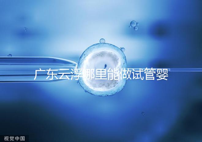 廣東云浮哪里能做試管嬰兒？具體費用明細點這里了解