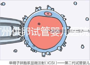 廣州供卵試管嬰兒醫(yī)院匯總，真實案例告訴你廣東哪家最好
