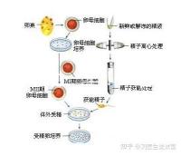 選對成功一半！來看看海南哪家醫(yī)院能做三代試管嬰兒