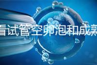 速看試管空卵泡和成熟卵泡能否區分開，這兩大技巧學起來