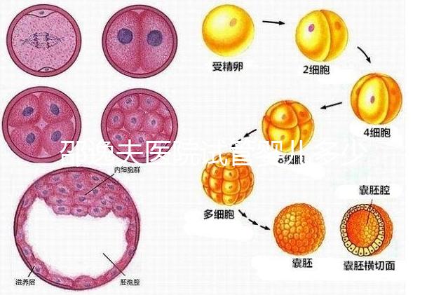 邵逸夫醫(yī)院試管嬰兒多少錢(qián)？全部費(fèi)用明細(xì)為你一一列出