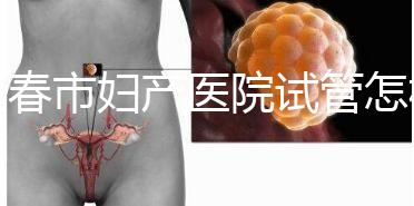 長春市婦產醫院試管怎樣問題解答，助孕成功率、費用可作參考