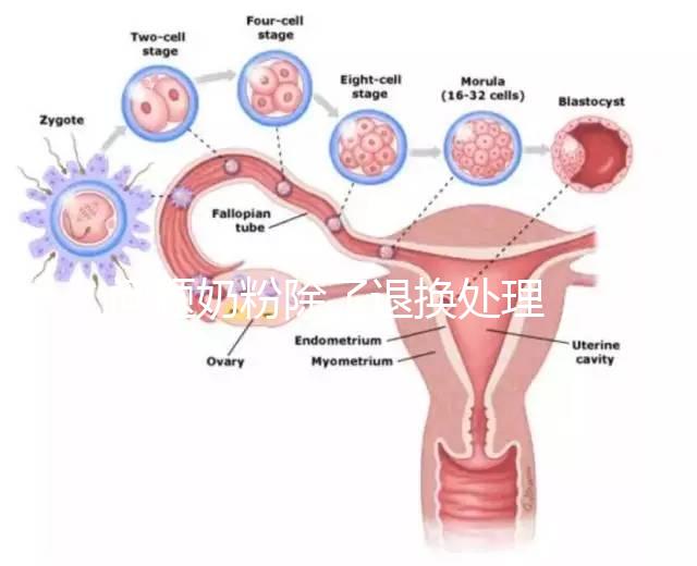 問題奶粉除了退換處理，還可要求十倍標準的賠償金