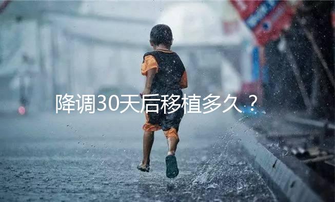 降調30天后移植多久？什么時候可以同房喝酒？