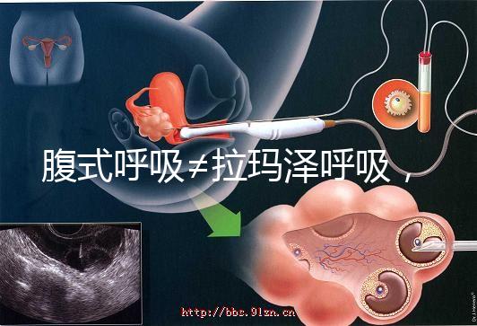 腹式呼吸≠拉瑪澤呼吸,想緩解分娩痛請(qǐng)先分清二者區(qū)別