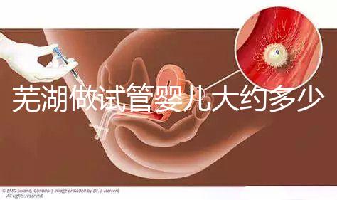 蕪湖做試管嬰兒大約多少錢？一次成功率高嗎？