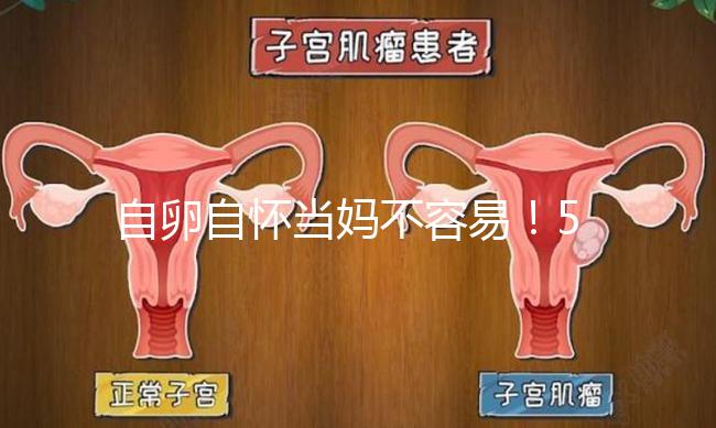 自卵自懷當媽不容易！53歲做試管嬰兒這個案例真勵志
