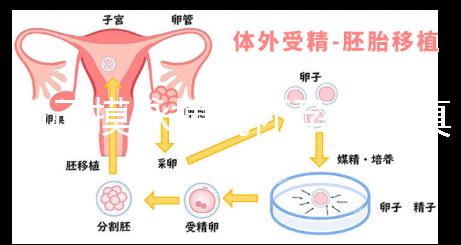 自己摸脈搏測懷孕方法真不難，想準(zhǔn)確率高關(guān)鍵是找對手法