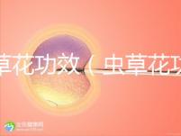 蟲(chóng)草花功效(蟲(chóng)草花功效作用與主治功能)