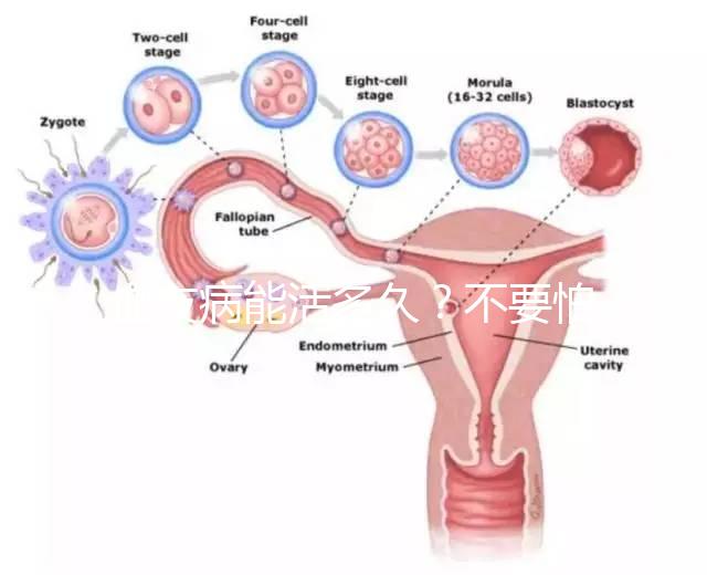 血友病能活多久？不要怕!注意這些同常人無異