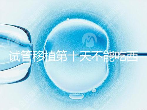 試管移植第十天不能吃西瓜！影響胚胎發(fā)育可不是玩笑話