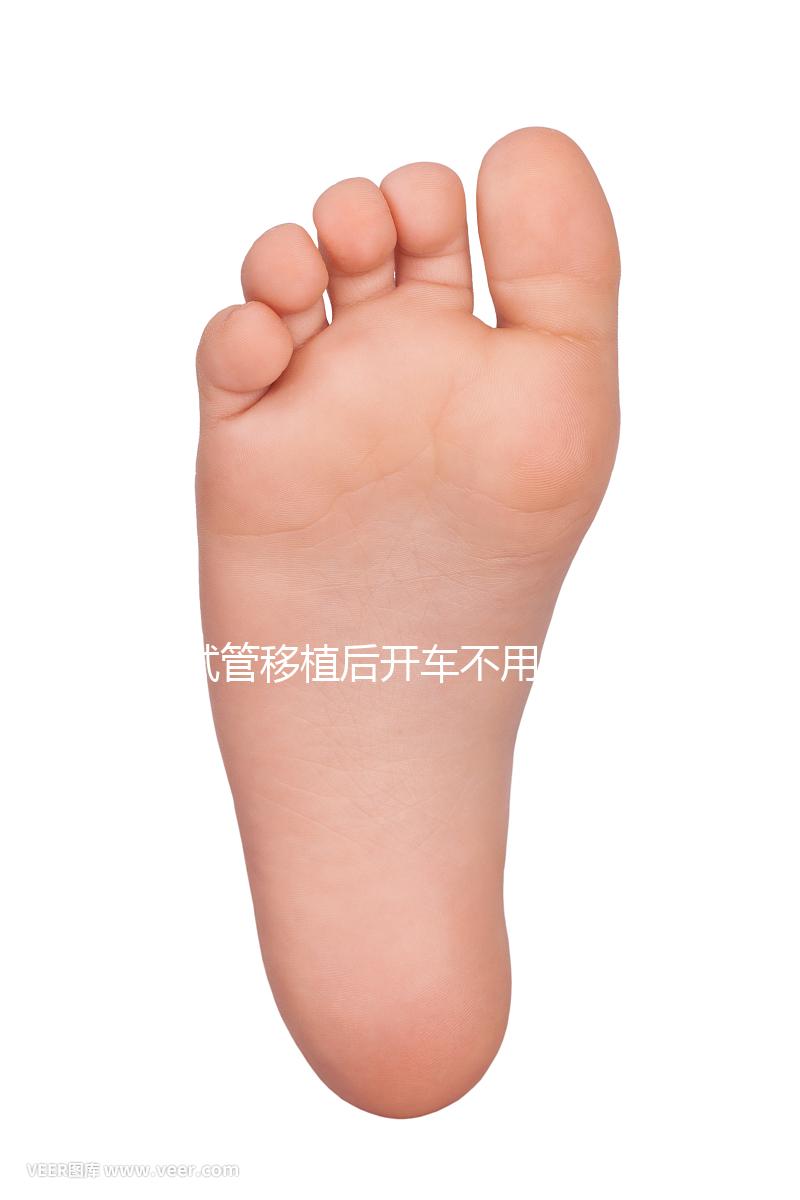 試管移植后開車不用太講究，休息和出行問題解答都在這里