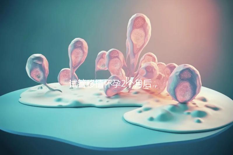 試管移植懷孕2個月后，還能不能吃酸筍田螺？
