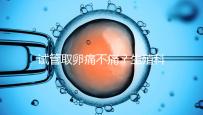 試管取卵痛不痛?生殖科醫生告訴你答案!