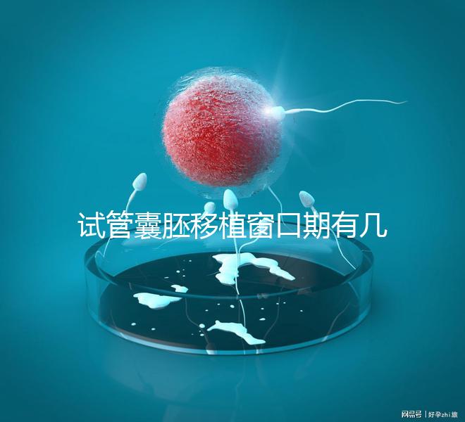 試管囊胚移植窗口期有幾天看這，弄明白什么時候更易著床