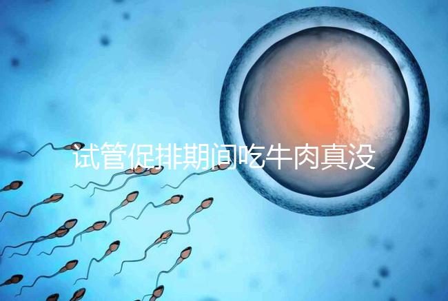 試管促排期間吃牛肉真沒影響，關鍵在于是火鍋還是牛肉干