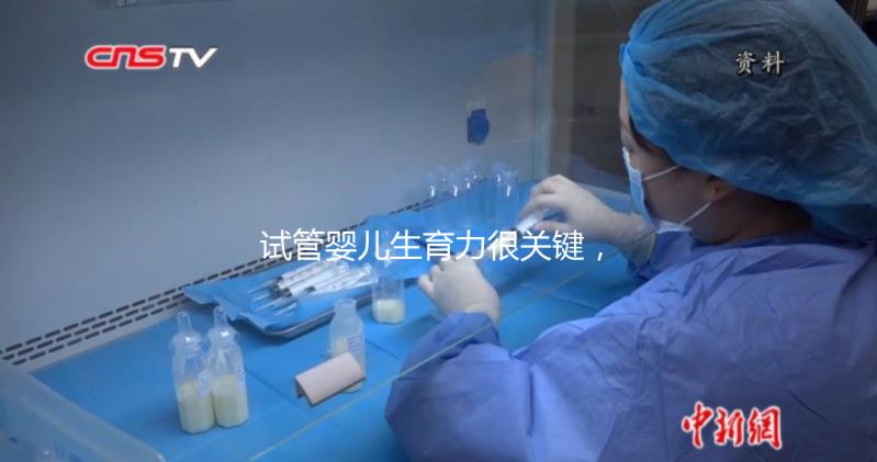 試管嬰兒生育力很關鍵，4個方面評估好不好？