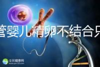 試管嬰兒精卵不結(jié)合只是基因問題?這幾大原因告知真相