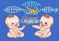 試管嬰兒養(yǎng)貓的影響不小，這三大危害一文說(shuō)清楚