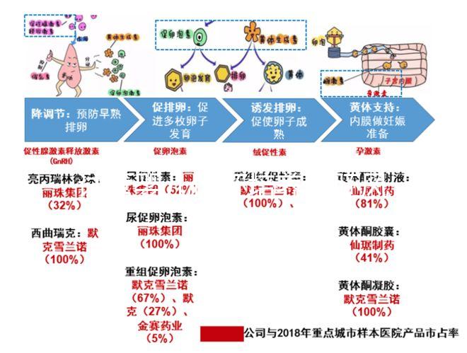 試管嬰兒優(yōu)胚培養(yǎng)囊胚風(fēng)險(xiǎn)特別大，逃不掉這3大原因