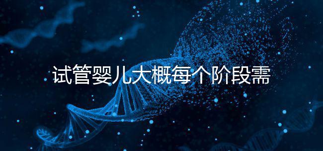 試管嬰兒大概每個階段需要花到多少錢呢？