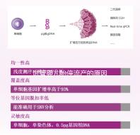 試管嬰兒胎停流產的原因剖析，胎停育與胎停孕大不同