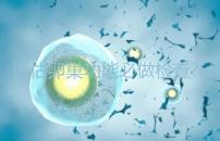 評估卵巢功能必做檢查?大家說的AMH到底是什么