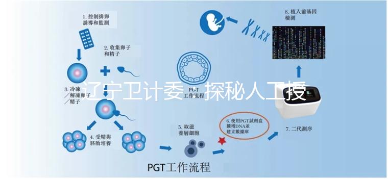 遼寧衛(wèi)計委:探秘人工授精和試管嬰兒的區(qū)別