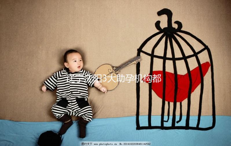 遼寧沈陽(yáng)3大助孕機(jī)構(gòu)都在這，來(lái)看看你知道幾家