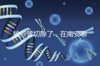 輸卵管切除了，在南安哪里能做試管嬰兒？