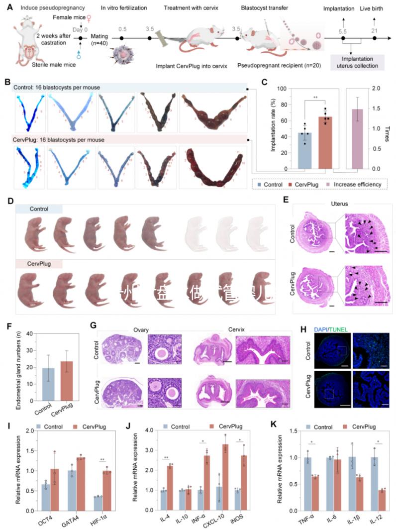 貴州六盤水做試管嬰兒多少錢？能做試管的醫院名單來了