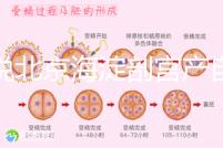 誰(shuí)說(shuō)北京海淀剖宮產(chǎn)自付費(fèi)用高，了解2024年生育保險(xiǎn)報(bào)銷比例？