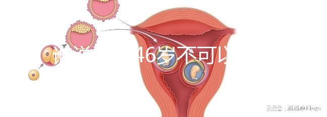 誰說女人46歲不可以懷孕，自然懷孕的案例多著呢！