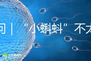 追問｜“小蝌蚪”不太給力，一代二代試管嬰兒技術哪個強？