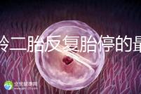 高齡二胎反復(fù)胎停的最大原因很簡(jiǎn)單,染色體異常占50%