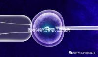 香港供卵試管嬰兒醫(yī)院有哪些點(diǎn)?附2024私立機(jī)構(gòu)排名