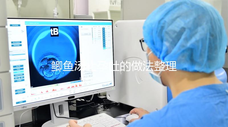 鯽魚湯止孕吐的做法整理，加砂仁、豆腐一星期喝幾次很有用