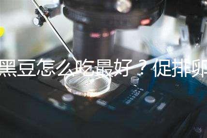 黑豆怎么吃最好?促排卵備孕的姐妹們快看這里