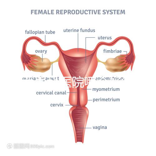 雞西男科醫(yī)院哪個(gè)好答案在這里？公立和私立各有優(yōu)勢(shì)