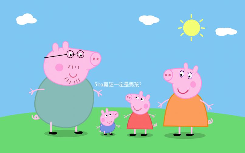 5ba囊胚一定是男孩?經(jīng)驗(yàn)之談:質(zhì)量才是核心