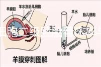 6細(xì)胞二級(jí)胚胎著床率與養(yǎng)囊成功率解讀，拿不準(zhǔn)移植與否戳