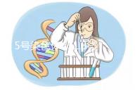 5號染色體q31.3微缺失綜合癥嚴重嗎？會怎么樣？